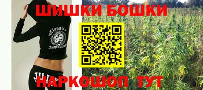 эйфоретик Кингисепп