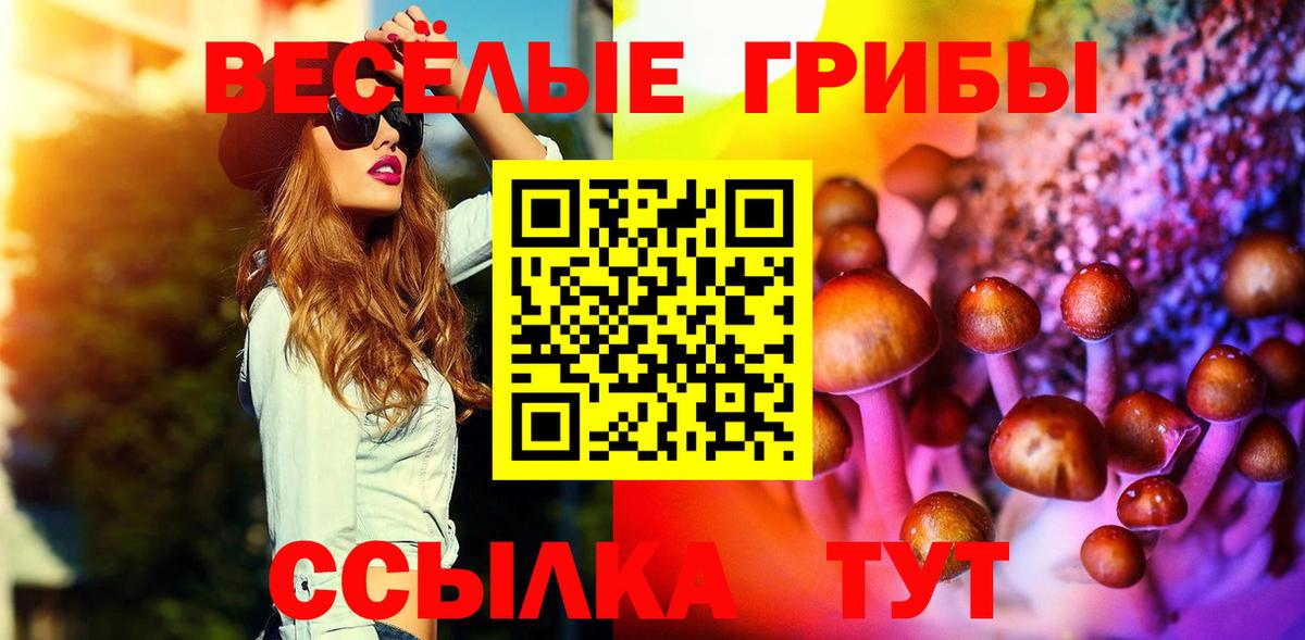 Галлюциногенные грибы MAGIC MUSHROOMS Чехов