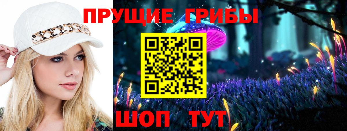 Псилоцибиновые грибы Magic Shrooms  Вход с VPN  продажа наркотиков  Чехов  Галлюциногенные грибы Magic Shrooms 